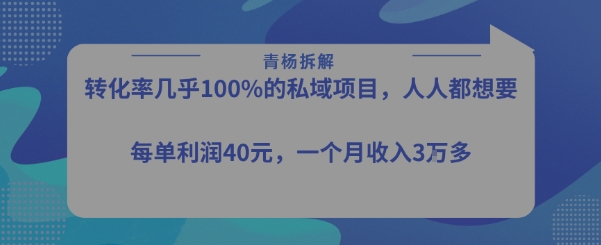 转化率最高的私域项目，每单利润40-50米，月入过1w-南友云赚