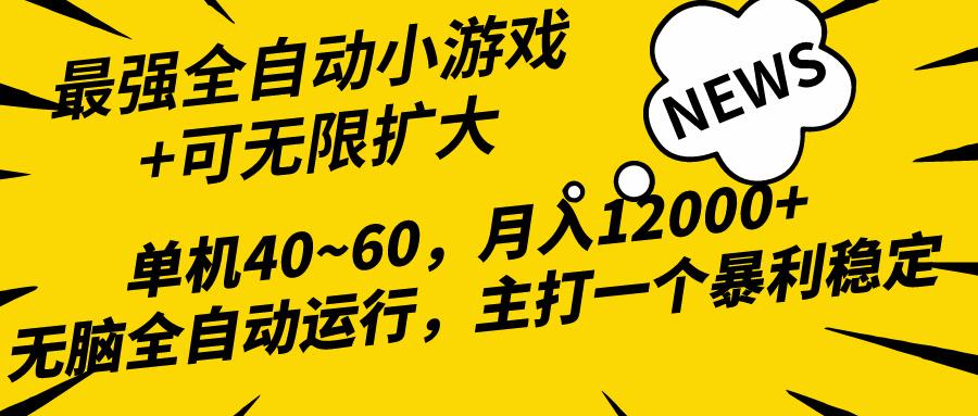 (10046期)2024最新全网独家小游戏全自动，单机40~60,稳定躺赚，小白都能月入过万-南友云赚