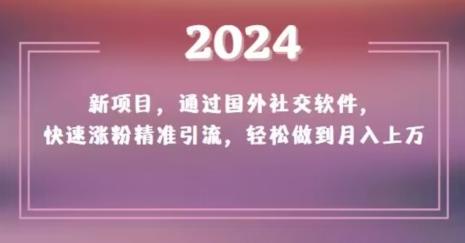 2024新项目，通过国外社交软件，快速涨粉精准引流，轻松做到月入上万【揭秘】-南友云赚