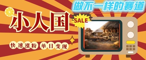 DeepSeek+绘图+视频制作小人国微观视频，小白轻轻松松上手，条条爆款，条条变现，单日就能收益-南友云赚