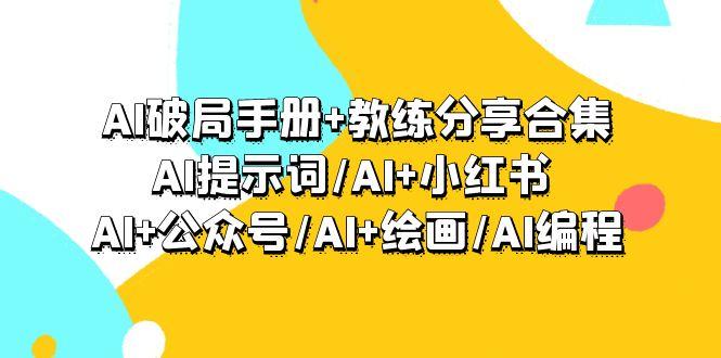 (9351期)AI破局手册+教练分享合集：AI提示词/AI+小红书 /AI+公众号/AI+绘画/AI编程-南友云赚