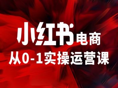 小红书电商从0-1实操运营课，让你从小白到精英-南友云赚