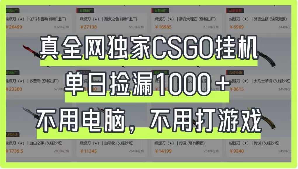 真全网独家CSGO挂机，单日捡漏1000+，不用电脑，不用养号-南友云赚