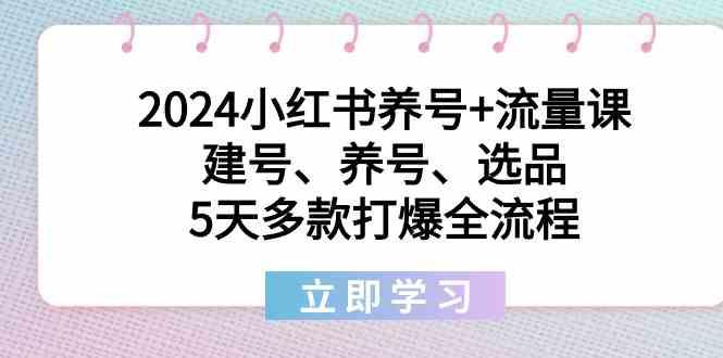 2024小红书养号+流量课:建号、养号、选品,5天多款打爆全流程-南友云赚