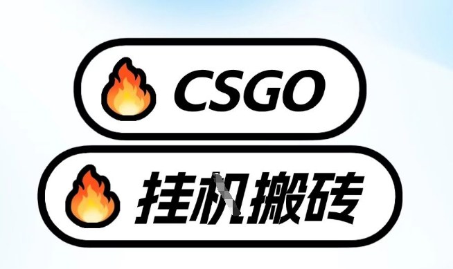 真全网独家CSGO挂G，最新玩法,单日捡漏1K+，不用电脑，不用打游戏【揭秘】-南友云赚