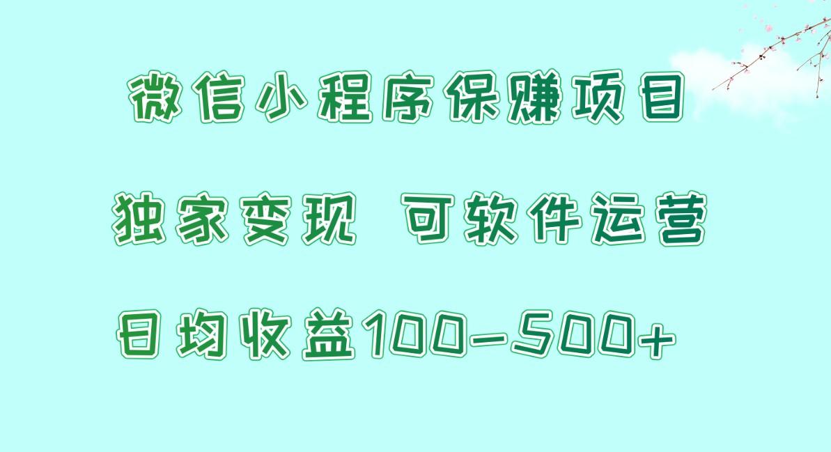 微信小程序保赚项目，日均收益100~500+，独家变现，可软件运营-南友云赚