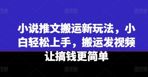 小说推文搬运新玩法，小白轻松上手，搬运发视频让搞钱更简单-南友云赚
