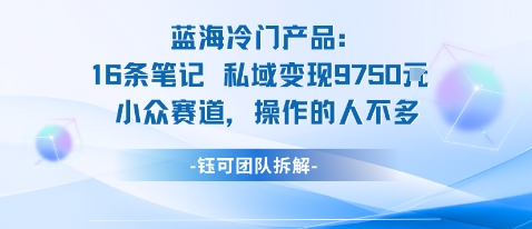 蓝海项目：16条笔记私域变现9750米小众赛道操作的人不多-南友云赚