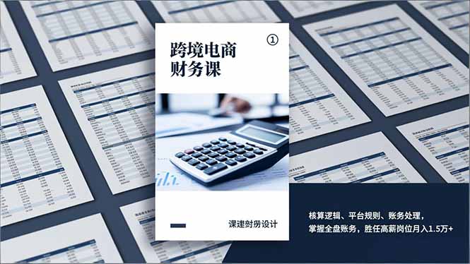 跨境电商财务课，核算逻辑、平台规则、账务处理，掌握全盘账务，胜任高薪岗位月入1.5万+-南友云赚