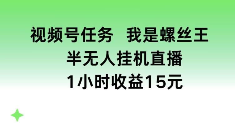视频号任务，我是螺丝王， 半无人挂机1小时收益15元【揭秘】-南友云赚