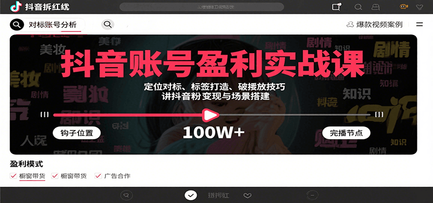 抖音账号盈利实战课，定位对标、标签打造、破播放技巧，讲涨粉变现与场景搭建-南友云赚