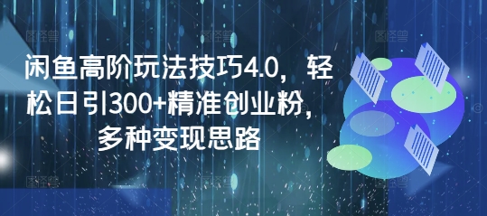 闲鱼高阶玩法技巧4.0，轻松日引300+精准创业粉，多种变现思路-南友云赚