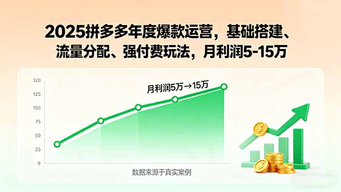 2025拼多多年度爆款运营，基础搭建、流量分配、强付费玩法，月利润5-15万-南友云赚