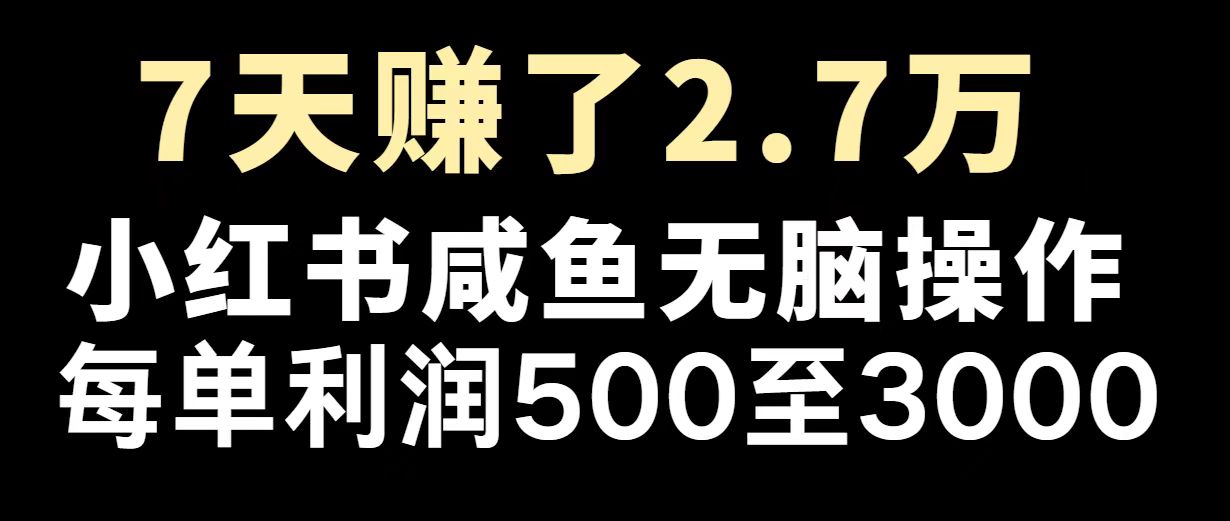 最赚钱项目之一，2025爆火，逆风翻盘！-南友云赚