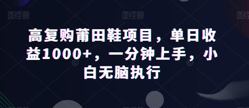 高复购莆田鞋项目，单日收益1000+，一分钟上手，小白无脑执行-南友云赚
