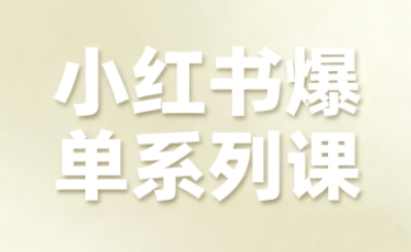 小红书爆单系列课，聚焦小红书电商全链路增长(更新)-南友云赚