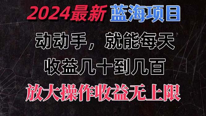 有手就行的2024全新蓝海项目，每天1小时收益几十到几百，可放大操作收…-南友云赚