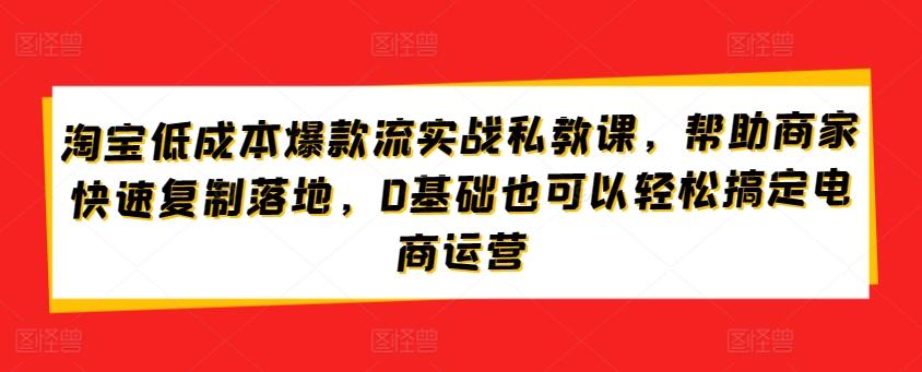 淘宝低成本爆款流实战私教课，帮助商家快速复制落地，0基础也可以轻松搞定电商运营-南友云赚