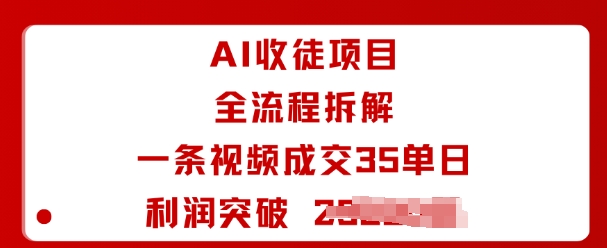 AI收徒项目全流程拆解一条视频成交35单日利润突破1k+-南友云赚