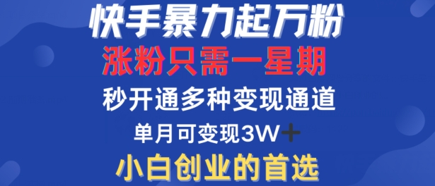 快手暴力起万粉，涨粉只需一星期，多种变现模式，直接秒开万合，单月变现过W【揭秘】-南友云赚