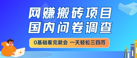2fab37db491921b6947834787dc23e7d.jpeg 网创搬砖项目,国内问卷调查,小白轻松上手,一天三四张的也不难,干就完了【揭秘】