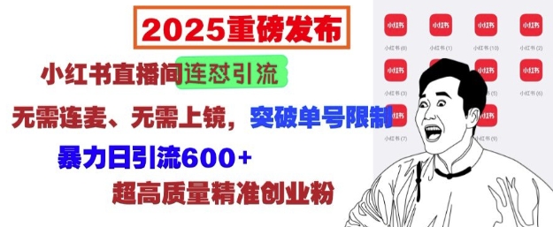 2025重磅发布:小红书直播间连怼引流,无需连麦、无需上镜,突破单号限制,暴力日引流600+-南友云赚