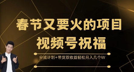 春节又要火的项目视频号祝福，分成计划+带货双收益，轻松月入几个W【揭秘】-南友云赚