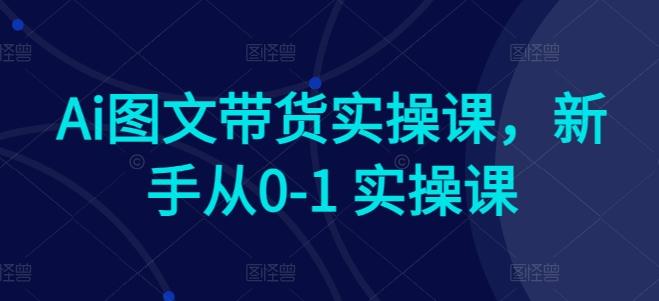 Ai图文带货实操课，新手从0-1 实操课-南友云赚