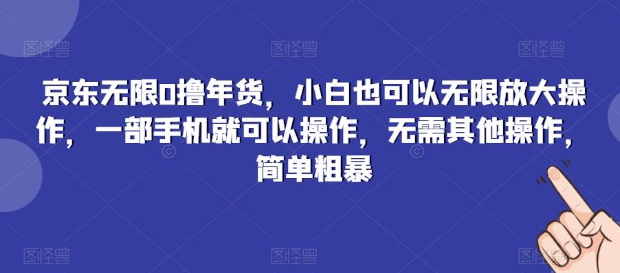 京东无限0撸年货，小白也可以无限放大操作，一部手机就可以操作，无需其他操作，简单粗暴-南友云赚
