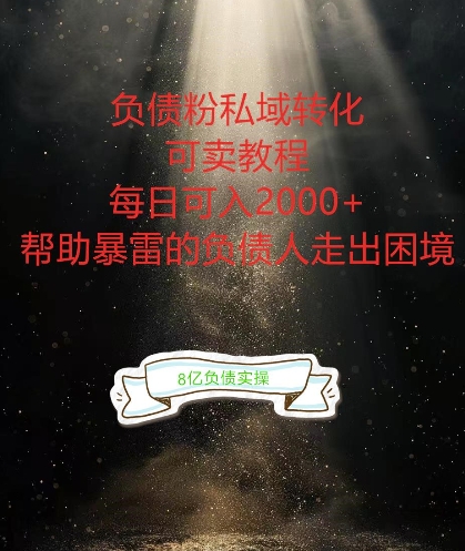 负债粉掘金计划，帮助负债者解决问题，债务规划，债务重组，最好的变现方式【揭秘】-南友云赚