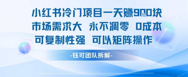 小红书冷门项目一天收益9张，市场需求大，0成本，可复制性强可以矩阵操作-南友云赚
