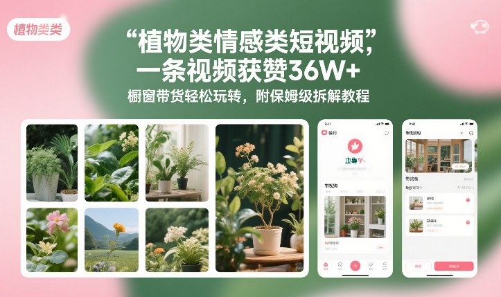 植物类情感类短视频，一条视频获赞36W+，橱窗带货轻松玩转，附保姆级拆解教程-南友云赚