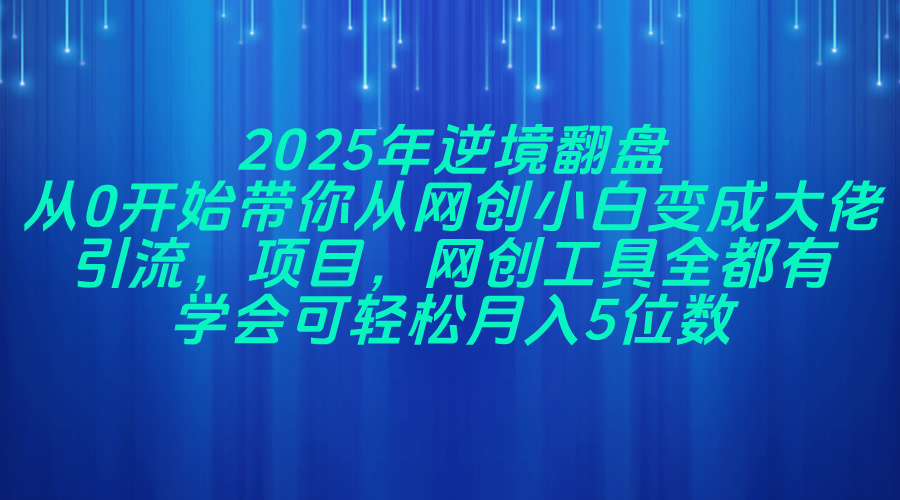 2025年逆境翻盘，从0开始带你从网创小白变成大佬，引流，项目，网创工…-南友云赚