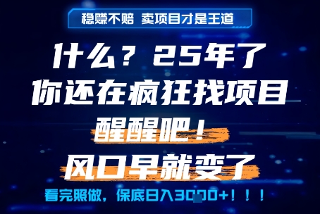 什么？25年你还在疯狂找项目做，醒醒吧，看完这些你全都懂了！【揭秘】-南友云赚