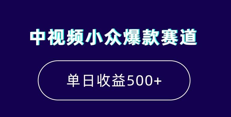 中视频小众爆款赛道，7天涨粉5万+，小白也能无脑操作，轻松月入上万【揭秘】-南友云赚
