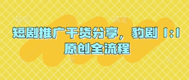短剧推广干货分享，豹剧 1:1原创全流程-南友云赚