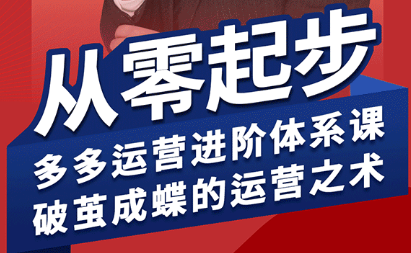 海神·拼多多运营进阶系统课(更新8月)-南友云赚