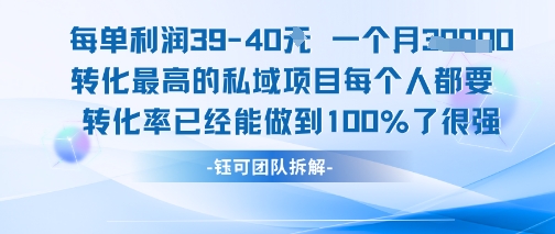 每单利润40一个月7k+转化最高的私域项目，每个人都要的产品转化率已经能做到100%-南友云赚