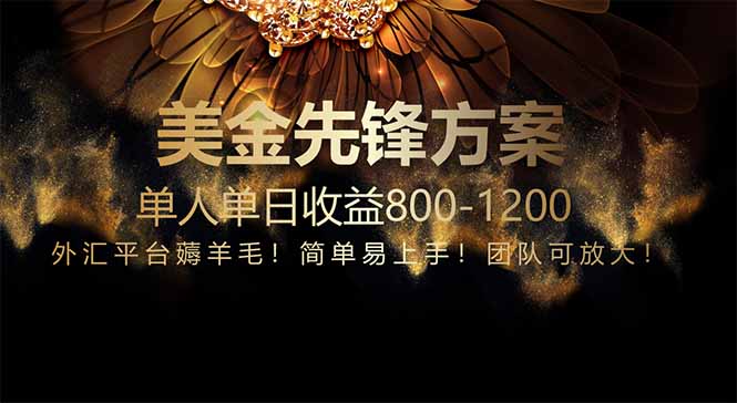 免费技术！小众赛道！一年布局抵三年努力，每日800+-南友云赚