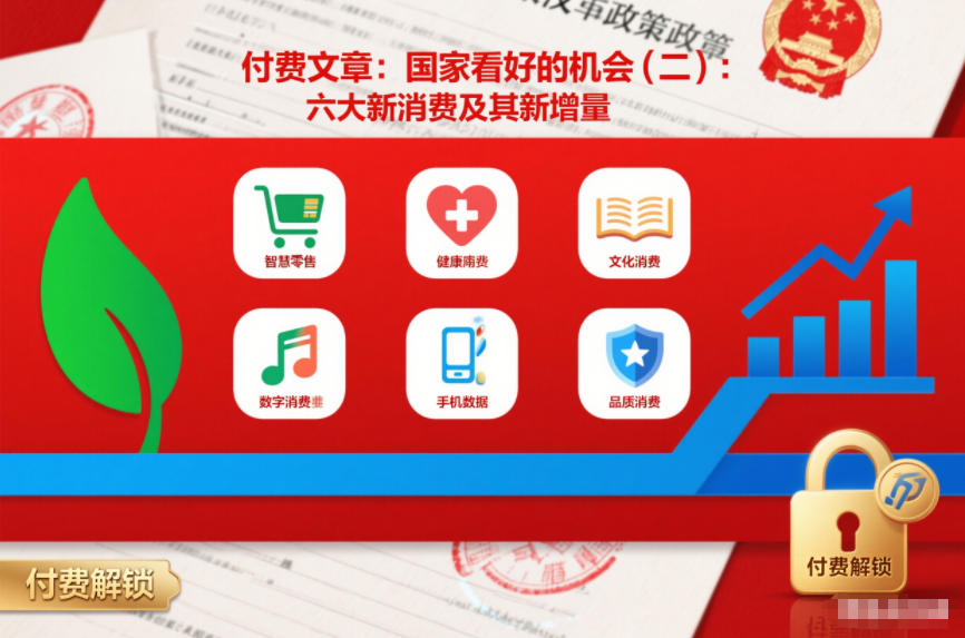 付费文章：国家看好的机会(二)：六大新消费及其新增量-南友云赚