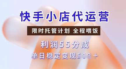 快手小店代运营，限时托管计划，收益55分，单日稳定变现多张【揭秘】-南友云赚