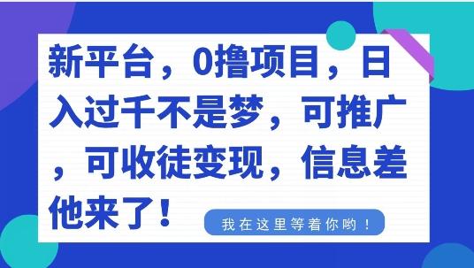 不要再花冤枉钱了，0撸项目，每天坚持，稳定1000+-南友云赚