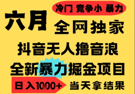25年6月高爆抖音无人直播最新撸音浪掘金项目，小白可做，无脑日入1k+，门槛低可批量矩阵【揭秘】-南友云赚