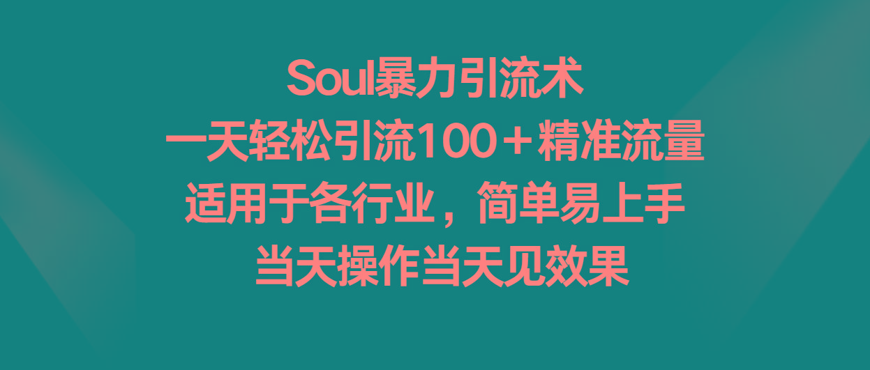 Soul暴力引流术，一天轻松引流100＋精准流量，适用于各行业，简单易上手！-南友云赚