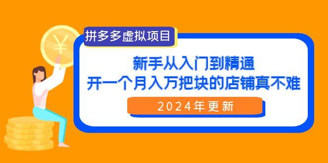 (9744期)拼多多虚拟项目：入门到精通，开一个月入万把块的店铺 真不难(24年更新)-南友云赚