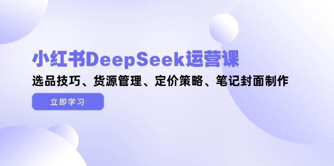 小红书DeepSeek运营课，选品技巧、货源管理、定价策略、笔记封面制作-南友云赚
