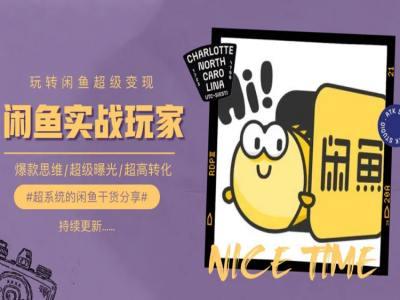 手把手教你0到1系统玩转闲鱼变现，爆款思维/超级曝光/超高转化-南友云赚