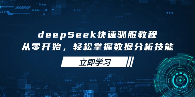 deepSeek快速驯服教程，从零开始，轻松掌握数据分析技能-南友云赚