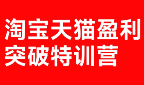 玺承·淘宝天猫盈利突破特训营(25年12月线下课)【音频+字幕】-南友云赚