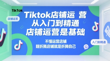 Tiktok店铺运营从入门到精通，店铺运营是基础，不懂运营店铺，瞎折腾店铺就是折腾自己-南友云赚